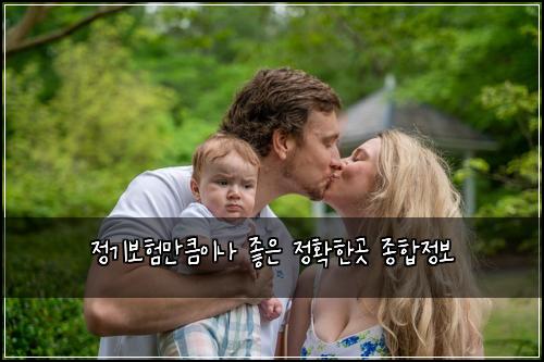 정기보험만큼이나 좋은 정확한곳 종합정보