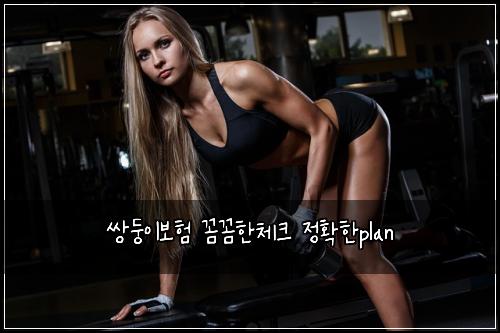 쌍둥이보험 꼼꼼한체크  정확한plan