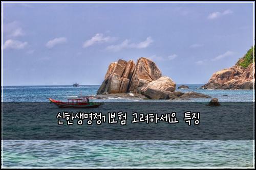 신한생명정기보험 고려하세요  특징