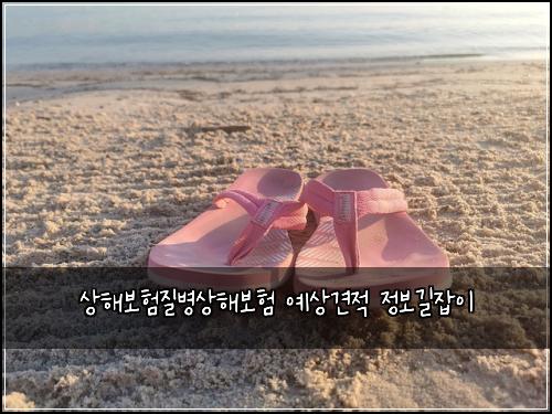 상해보험질병상해보험 예상견적 정보길잡이