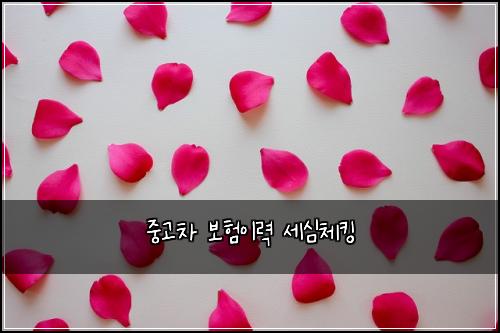 중고차 보험이력 세심체킹