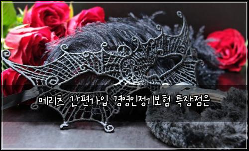 메리츠 간편가입 경영인정기보험 특장점은 