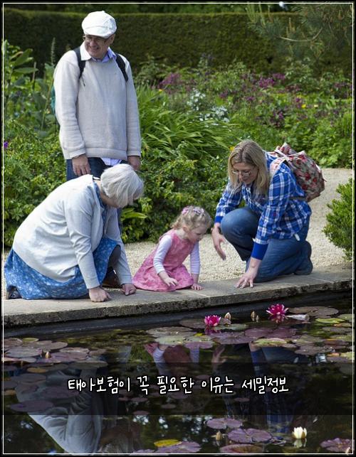태아보험이 꼭 필요한 이유는 세밀정보