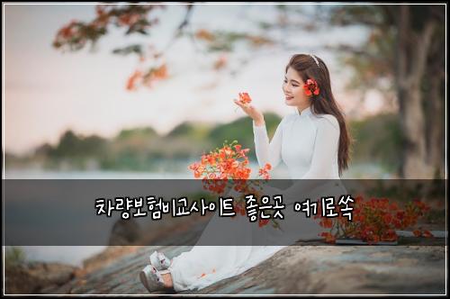 차량보험비교사이트 좋은곳 여기로쏙