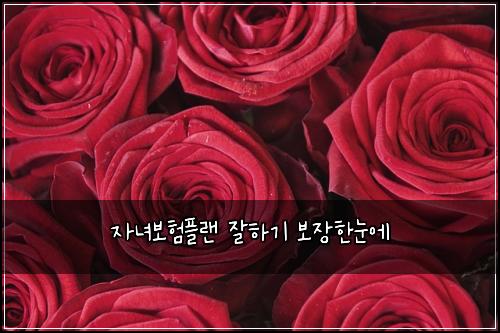 자녀보험플랜 잘하기 보장한눈에