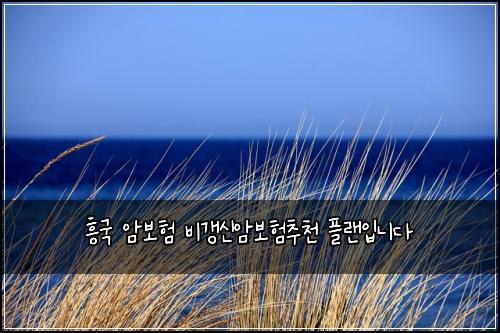 흥국 암보험 비갱신암보험추천 플랜입니다