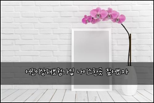 어린이상해보험가입 나이스한곳 짚어보자