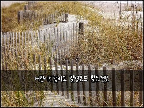 어린이보험비교 질병코드 필요정보