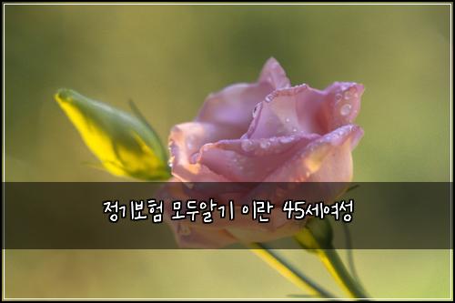 정기보험 모두알기  이란 45세여성