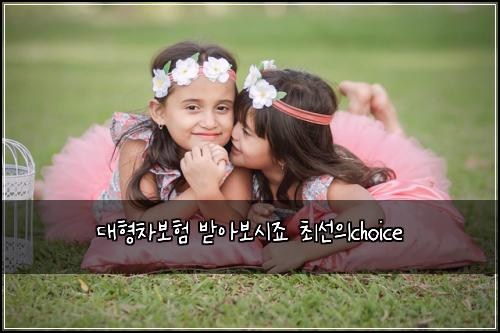 대형차보험 받아보시죠  최선의choice