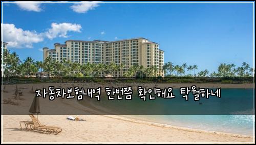 자동차보험내역 한번쯤 확인해요 탁월하네