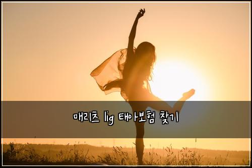 매리츠 lig 태아보험 찾기  