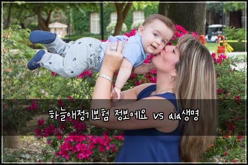 하늘애정기보험 정보에요  vs aia생명