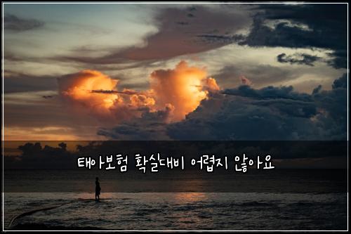 태아보험 확실대비  어렵지 않아요