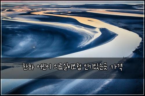 한화 어린이 의료실비보험 인기있는곳  가격