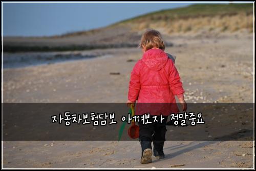 자동차보험담보 아껴보자 정말중요