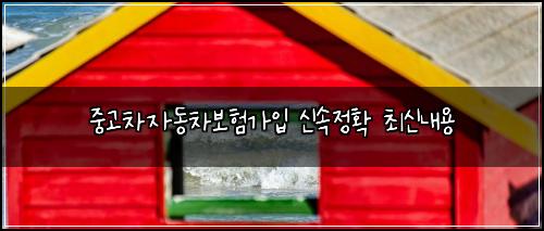 중고차자동차보험가입 신속정확 최신내용