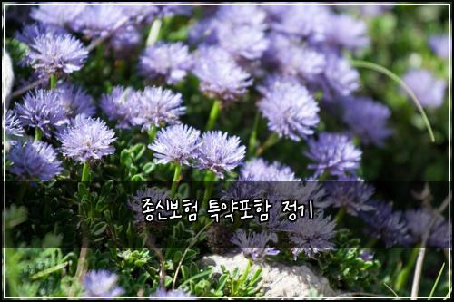 종신보험 특약포함  정기