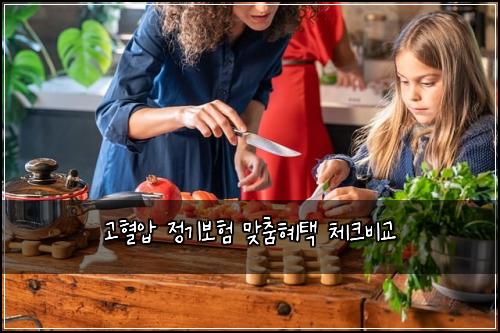 고혈압 정기보험 맞춤혜택  체크비교