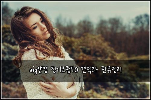 aig생명 정기보험40 견적과 한큐정리