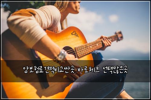 암보험료견적비교싼곳 바로체크 선택많은곳