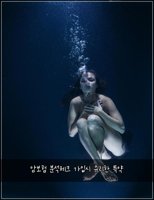 암보험 분석체크  가입시 유리한 특약