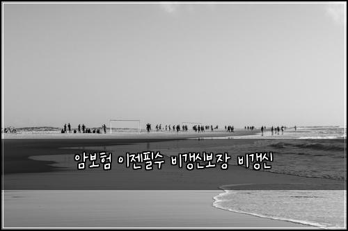 ์๋ณดํ ์ด์ ํ์ ๋น๊ฐฑ์ ๋ณด์ฅ ๋น๊ฐฑ์