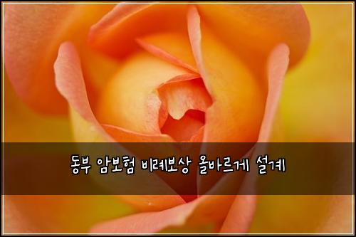 동부 암보험 비례보상  올바르게 설계