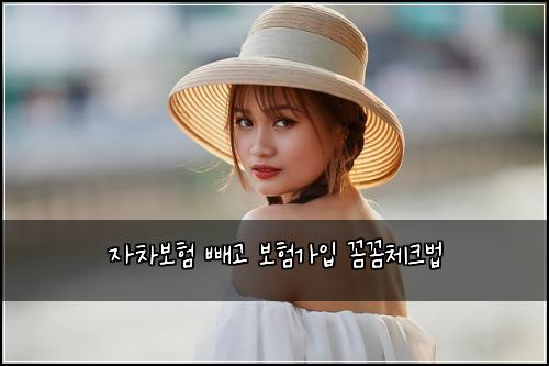 자차보험 빼고 보험가입 꼼꼼체크법