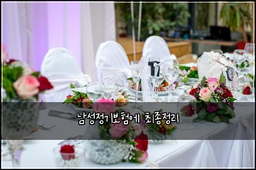 남성정기보험에 최종정리