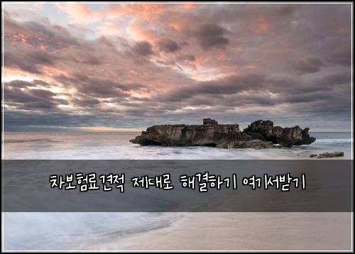 차보험료견적 제대로 해결하기 여기서받기