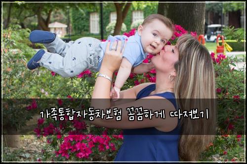 가족통합자동차보험 꼼꼼하게 따져보기