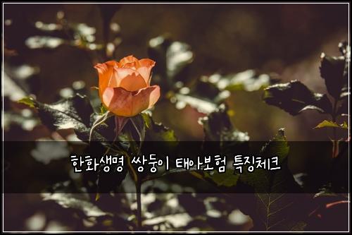 ํํ์๋ช
์๋ฅ์ด ํ์๋ณดํ ํน์ง์ฒดํฌ