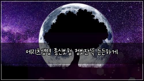 λ©λ¦¬μΈ μλͺ
μ’
μ 보ν μ 보μλ© λ λ νκ²