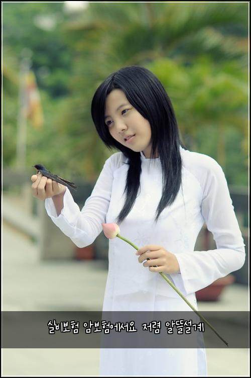 실비보험 암보험에서요 저렴 알뜰설계