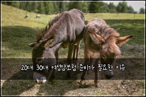 20대 30대 여성암보험 준비가 필요한 이유