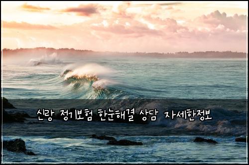신랑 정기보험 한눈해결  상담 자세한정보