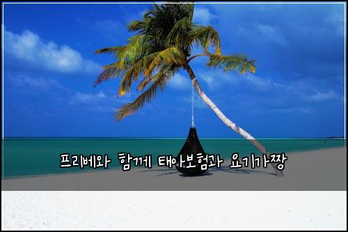프리베와 함께 태아보험과 요기가짱