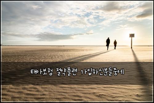 태아보험 절약플랜  가입하신분들중에