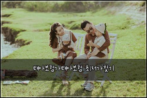 태아보험가태아보험 최저가찾기