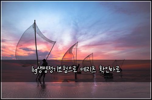 lig생명정기보험으로 메리츠 확인바로