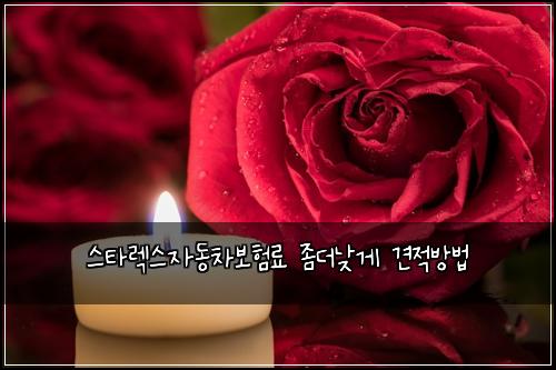 ์คํ๋ ์ค์๋์ฐจ๋ณดํ๋ฃ ์ข๋๋ฎ๊ฒ ๊ฒฌ์ ๋ฐฉ๋ฒ