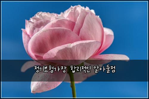 정기보험가장 합리적인 알아둘점