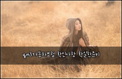 qm3์๋์ฐจ๋ณดํ ํ์ธ์ฌํญ ํ์คํ์ค๋น