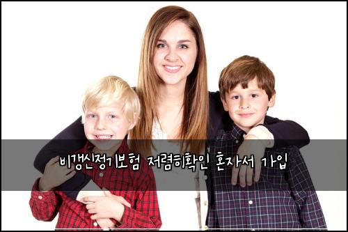 비갱신정기보험 저렴히확인  혼자서 가입