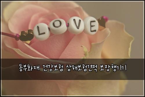 동부화재 건강보험 상해보험견적 보장챙기기
