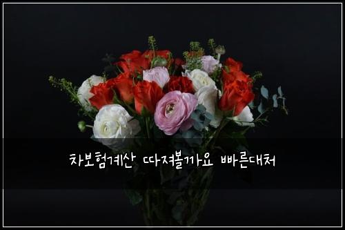 차보험계산 따져볼까요 빠른대처