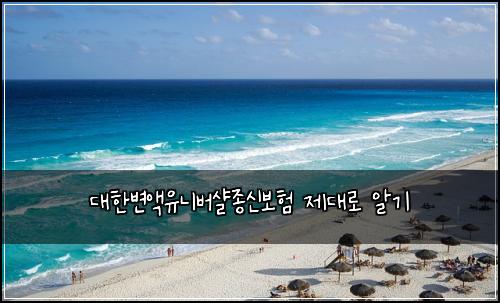 대한변액유니버샬종신보험 제대로 알기