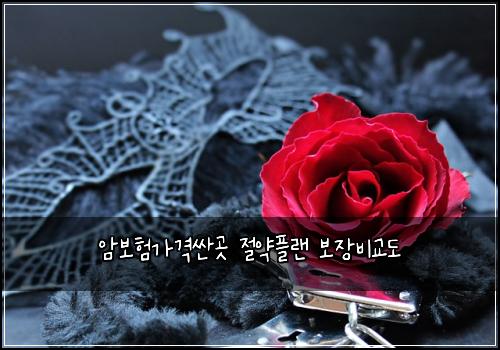 ์๋ณดํ๊ฐ๊ฒฉ์ผ๊ณณ ์ ์ฝํ๋ ๋ณด์ฅ๋น๊ต๋