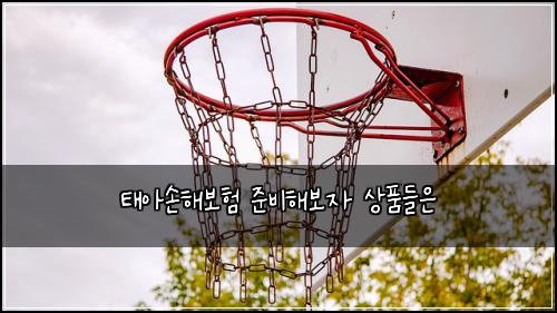 태아손해보험 준비해보자  상품들은